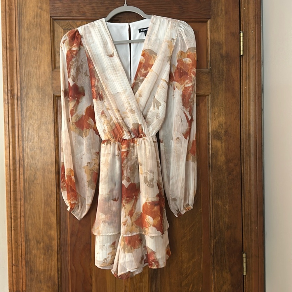 Express long sleeve dress with sheer sleeves